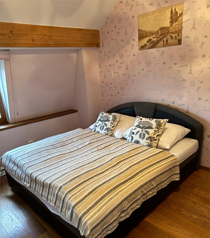 Pokoj Národní divadlo vila Praha Braník